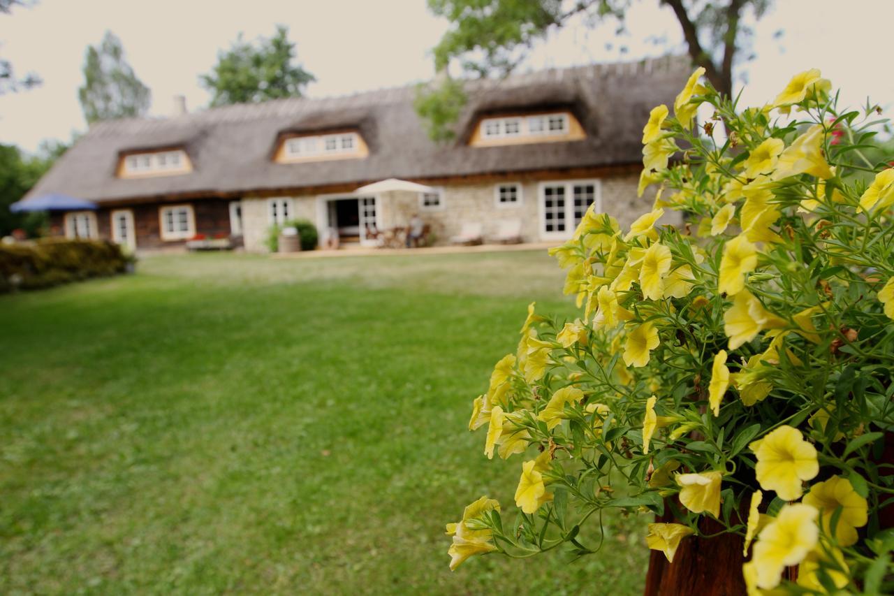 Metsara B&B Tornimae Exterior foto