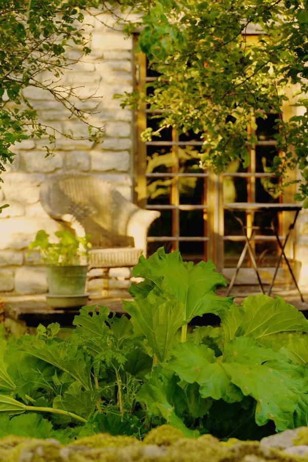 Metsara B&B Tornimae Exterior foto